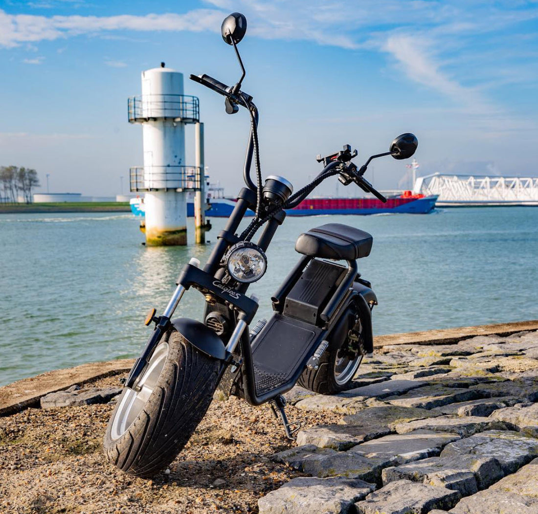 E-Chopper mit Schweizer Strassenzulassung